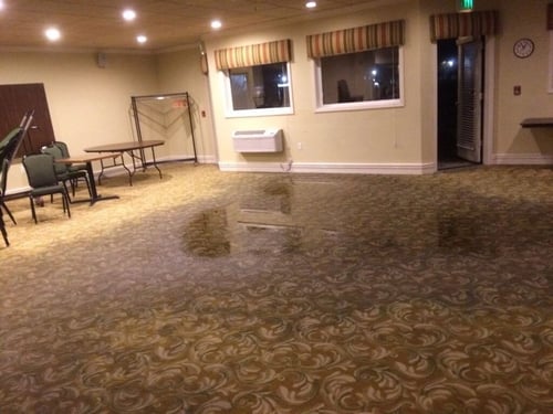 Standing water on a patterned carpet in a commercial common area.