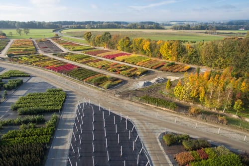 Baumschulen  ALOIS STÖCKL GmbH
