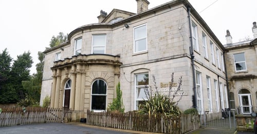 Busy Bees at Ashton House - Gallery Photo