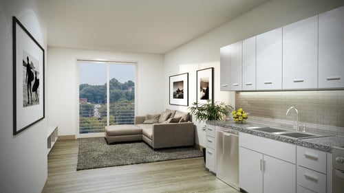 Open Space Kitchen and Living Room at The Point Apartments on 38th, Norfolk, VA