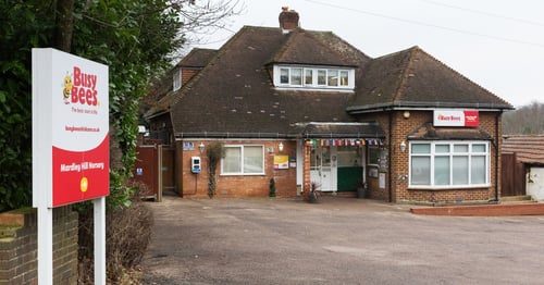 Busy Bees at Mardley Hill - Gallery Photo
