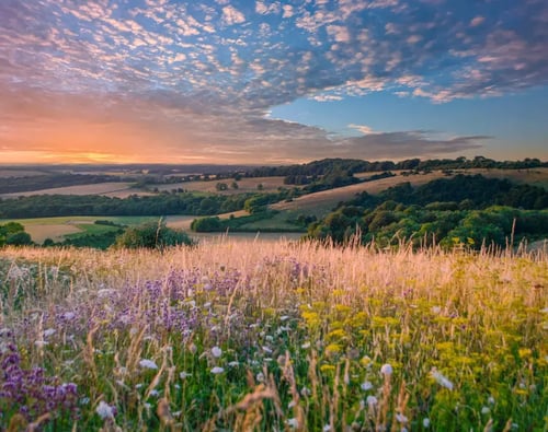 South East Rural Land Agents banner image mobile