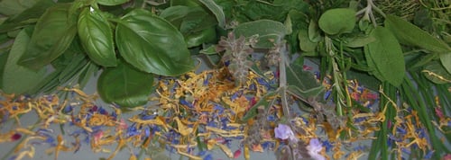 Natur 1