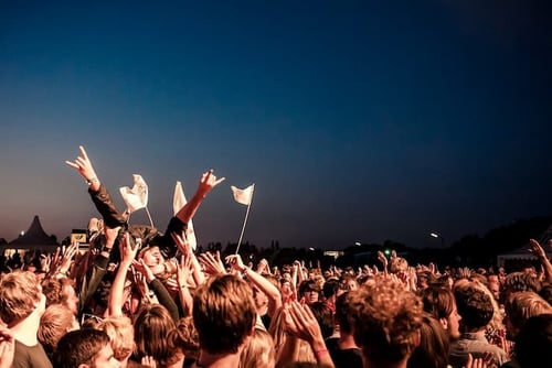 people with hands in their at a festival