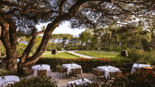 Outdoor dining area at Le Cap restaurant, featuring white tablecloth-covered tables, chairs, lush landscaped gardens, trees and a distant view of the sea