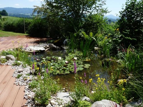 Gartengestaltung Ing. Gertraud Bauer in Salzburg
