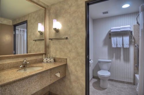 Holiday Inn Express- San Diego South- Chula Vista Guest Bathroom