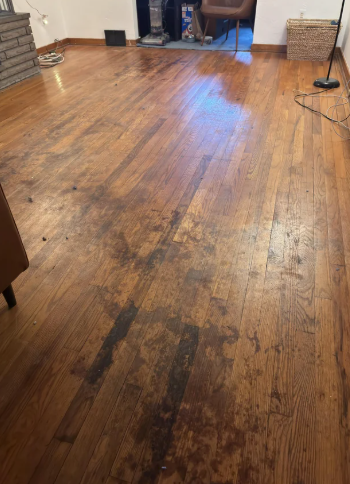Hardwood Floors Water Damage Restoration 1 Reno-Tahoe