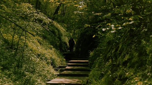 Drachenschlucht