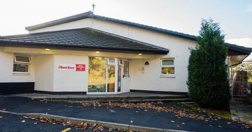 Busy Bees at Dundee West - Gallery Photo