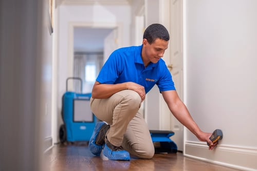 Restoration 1 technician.