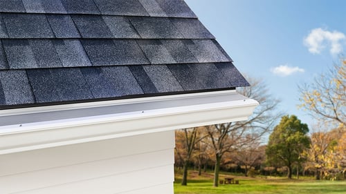 Protect your gutters - and entire home - with LeafFilter Gutter Protection