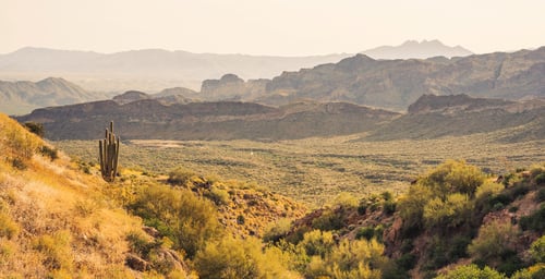 Fiber internet in Mesa, AZ