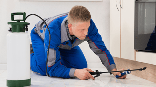 man performing pest control services