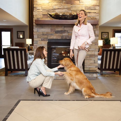 We welcome all of our guests including the four legged ones.