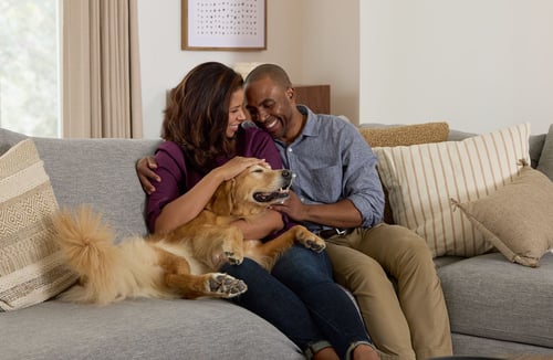 Couple sitting closely on a couch holding their dog.