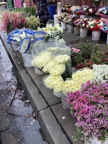 Juquila Flowers - Flower Delivery