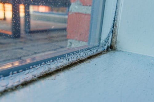 Mold Remediation Restoration 1 Reno-Tahoe