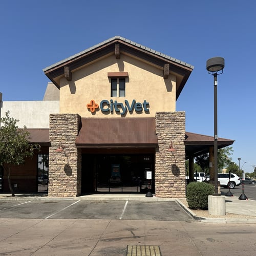 Exterior view of CityVet - Queen Creek