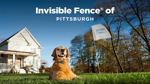 Invisible Fence of Pittsburgh
