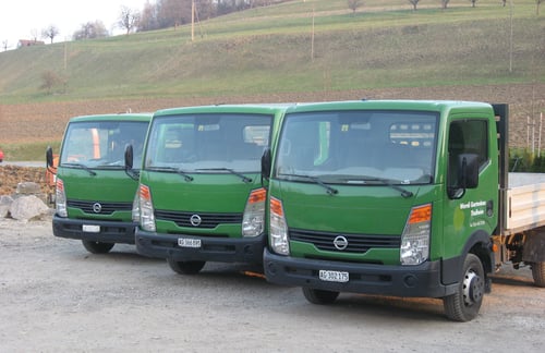 Wernli Gartenbau GmbH - Thalheim