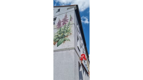 Aussenansicht der Alte Apotheke Zwötzen