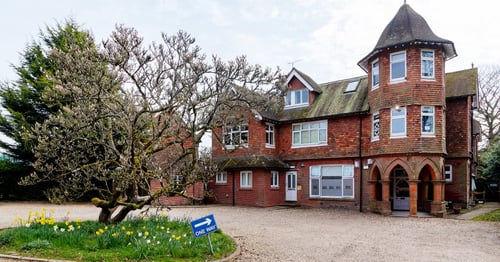 Busy Bees at Haslemere - Gallery Photo