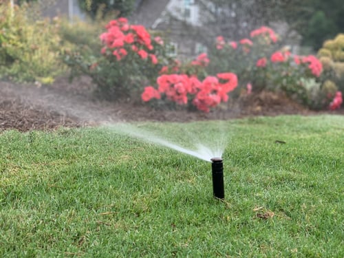 Kellerman Irrigation and Landscape Lighting - We are experts at irrigation design, installation, repairs, for both residential and commercial.