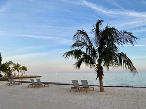 Three separated pairs of lounge chairs overlooking the ocean from a private beach with sparse palm trees.
