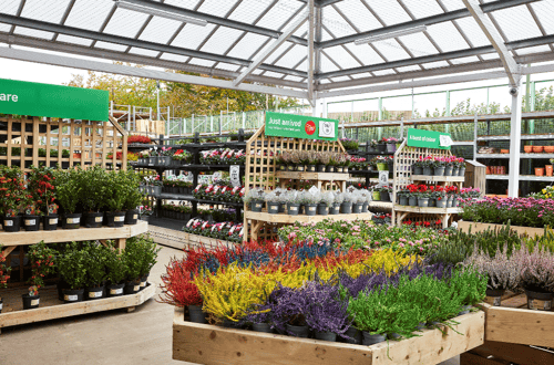 A colourful selection of plants at a Homebase Garden Centre