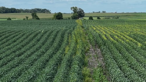 Field treated with Ide Seed & Fertilizer products
