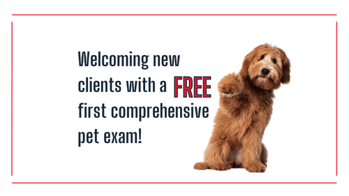 Highlands-Eldorado Veterinary Hospital in McKinney, TX, free 1st consult exam