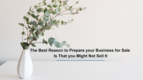 Minimalist image of a plant with text reading "The Best Reason to Prepare your Business for Sale Is That you Might Not Sell It"