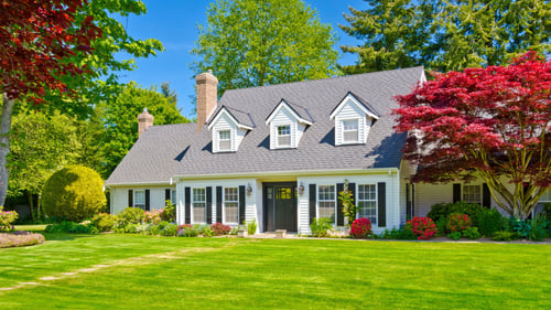beautiful large cape cod home with a big front yard