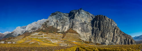 Panorama Vignoble