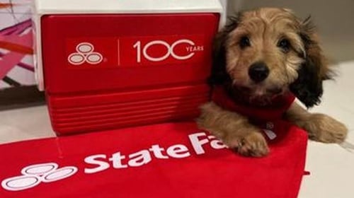 Hunter Rogers - State Farm Insurance Agent