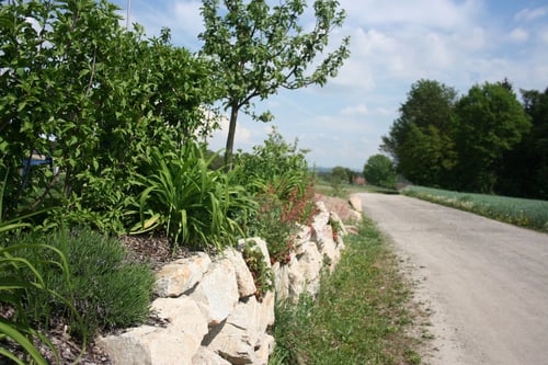 Gartengestaltung Schinagl GmbH in Alberndorf in der Riedmark
