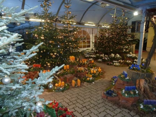 Blumen Heimo u Stefanie Beinhardt  3032 Eichgraben