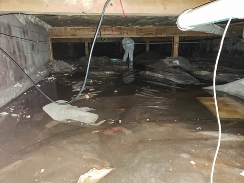 Water damage charlotte