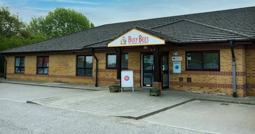 Busy Bees at Norwich Airport - Gallery Photo
