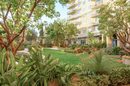 Vi at La Jolla Village exterior.