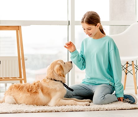 Girl training dog