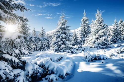 Blizzard Ski & Snowboard School