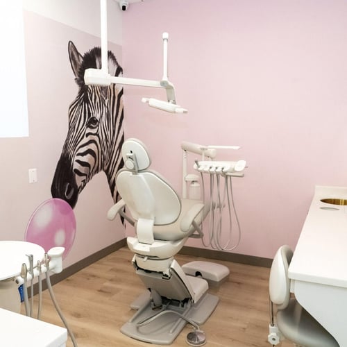 Petite Smiles - Zebra Dental Suite