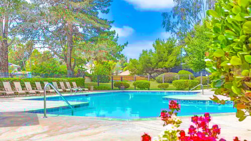Resort-style swimming pool view at Village Park Apartments, Encinitas
