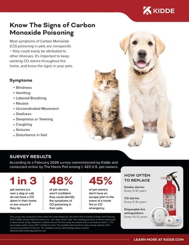 Infographic describing the signs of CO poisoning in a visual format.