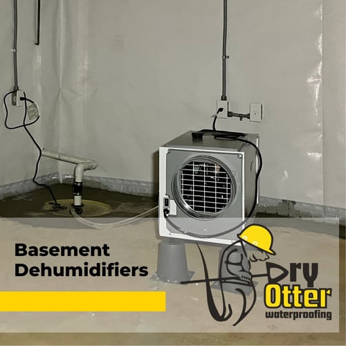 basement with dehumidifier