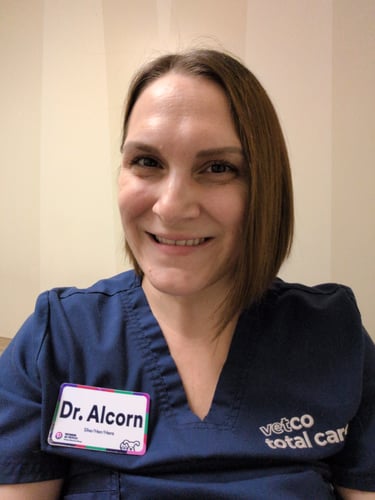 Andrea Alcorn