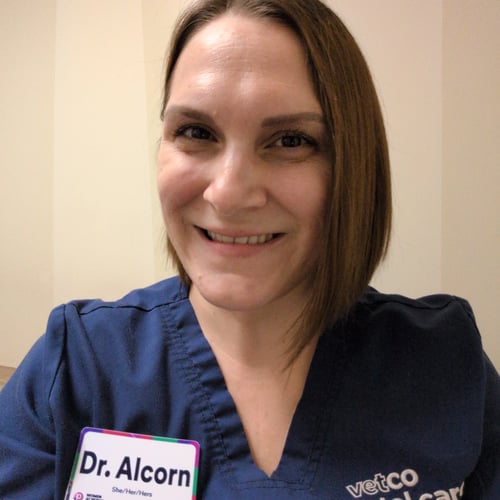 Andrea Alcorn