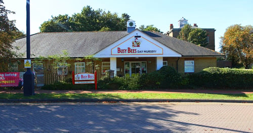 Busy Bees in Chatham - Gallery Photo